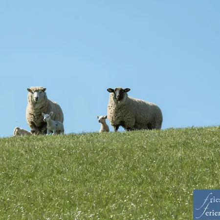 Friesenhain Appartamento
