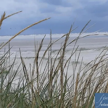 Apartment Friesenhain Sankt Peter-Ording