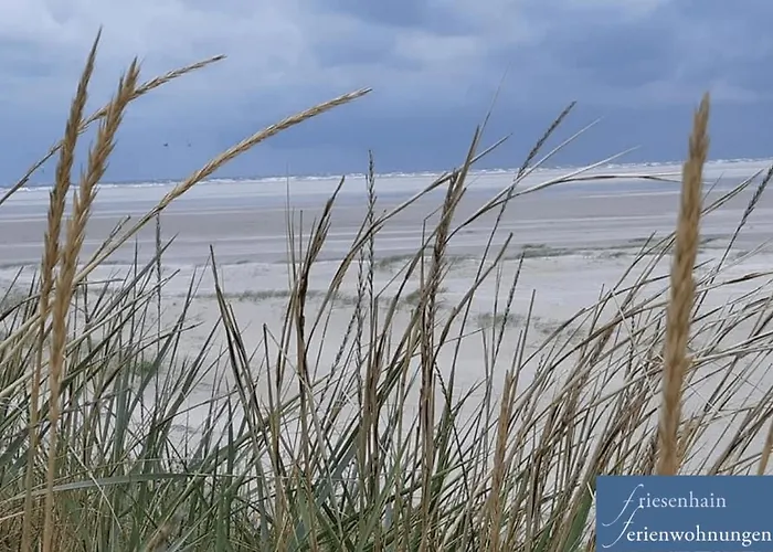 Apartment Friesenhain Sankt Peter-Ording